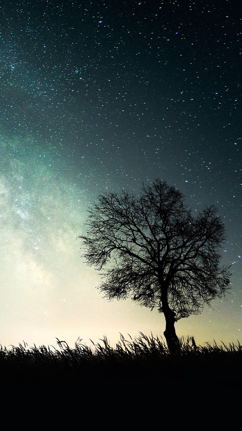 You are Never Alone, iphone, milky, nature, night, sky, stars, tree way, HD phone wallpaper