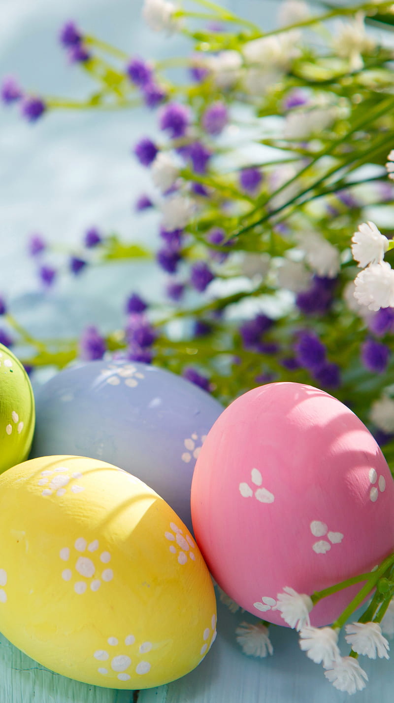 Easter, colors, eggs, holidays, HD phone wallpaper