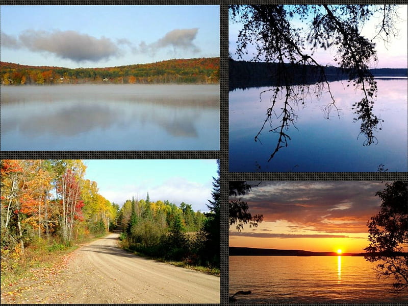 ~~; Ontario North ;~~, summer, lakes, trees, backroads, HD wallpaper