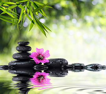 Relaxing Spa, flower, reflection, relax, stones, water, HD wallpaper ...