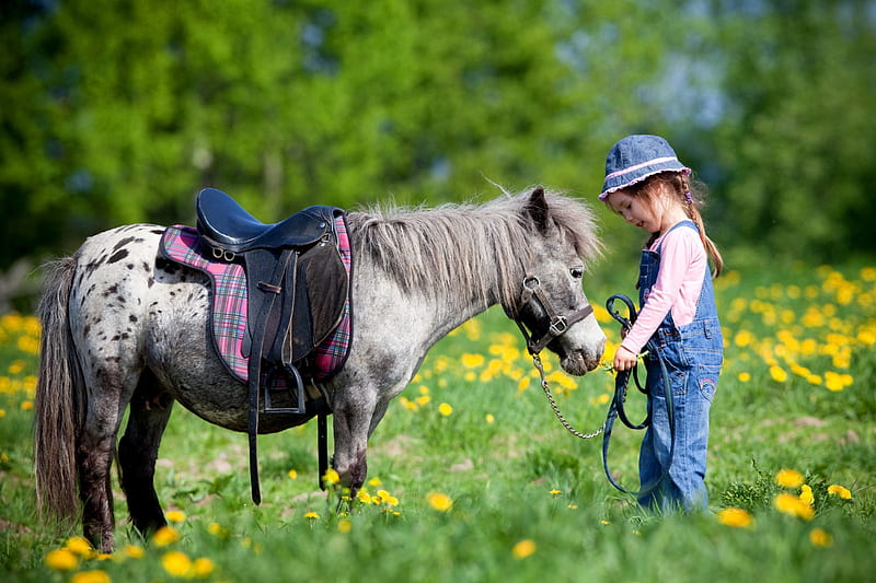 Cute Cowgirl, cowgirl, grass, saddle, trees, horse, hat, kid, girl, flowers, child, field, HD wallpaper