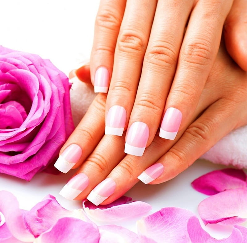 :), hands, nail polish, rose, petals, pink, HD wallpaper