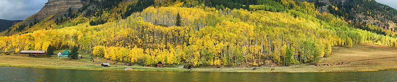 Mountain, Aspen Forest, Colorado, Autumn... Ultra, Seasons, Autumn, Colorado, panorama, ptguipro, Purgatory, HD wallpaper