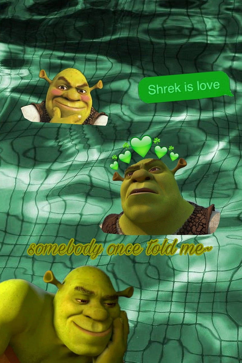 ShReK #shrekwallpaper #shrek #meme