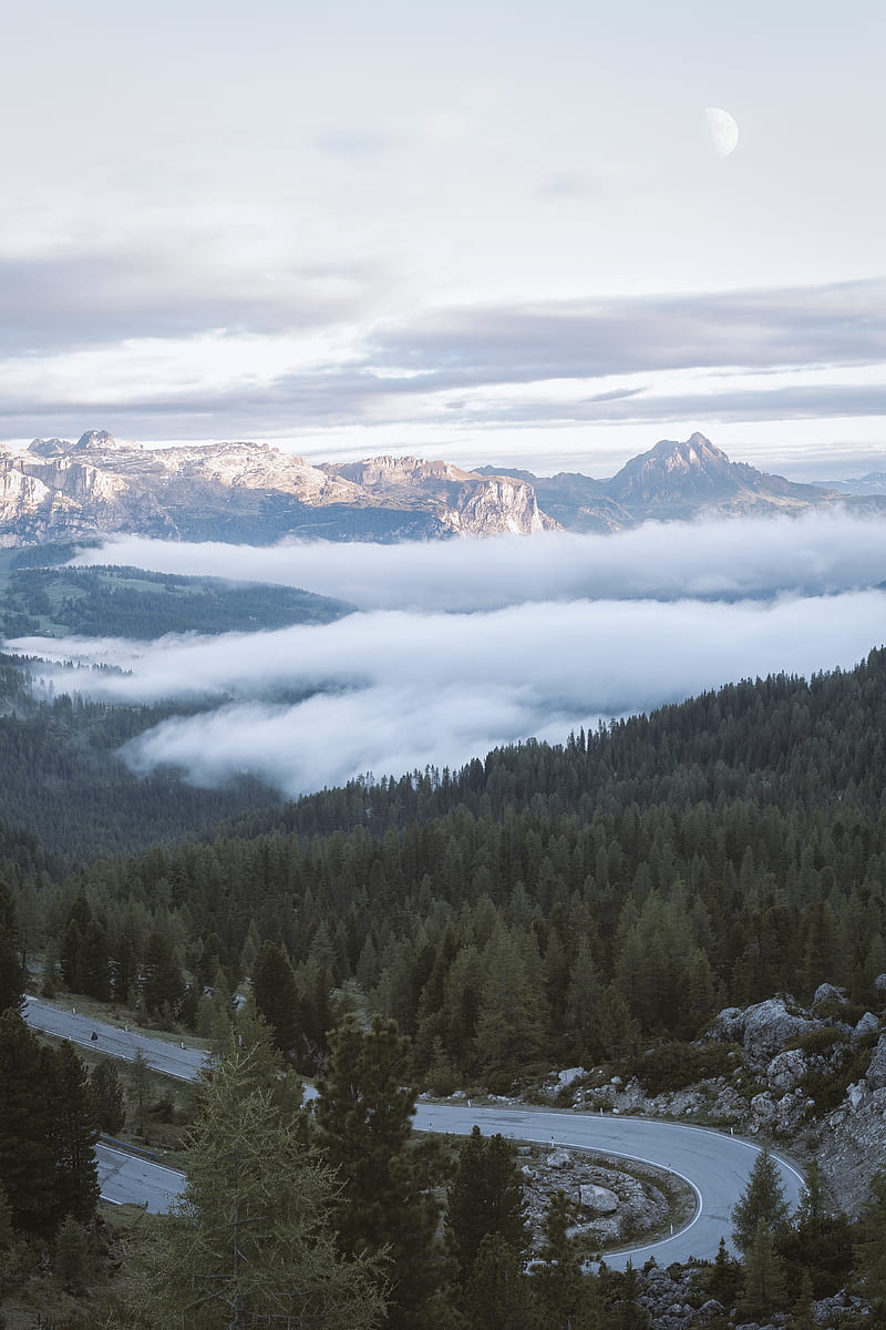 mountains, forest, fog, clouds, landscape, HD phone wallpaper