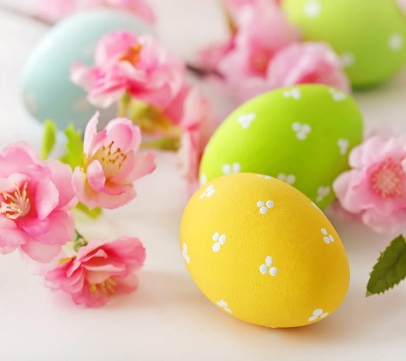 Happy Easter, easter, eggs, flowers, happy, HD wallpaper