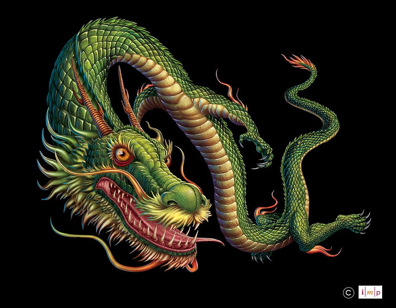 Chinese dragon, subhash vohra, fantasy, dragon, green, black, HD wallpaper