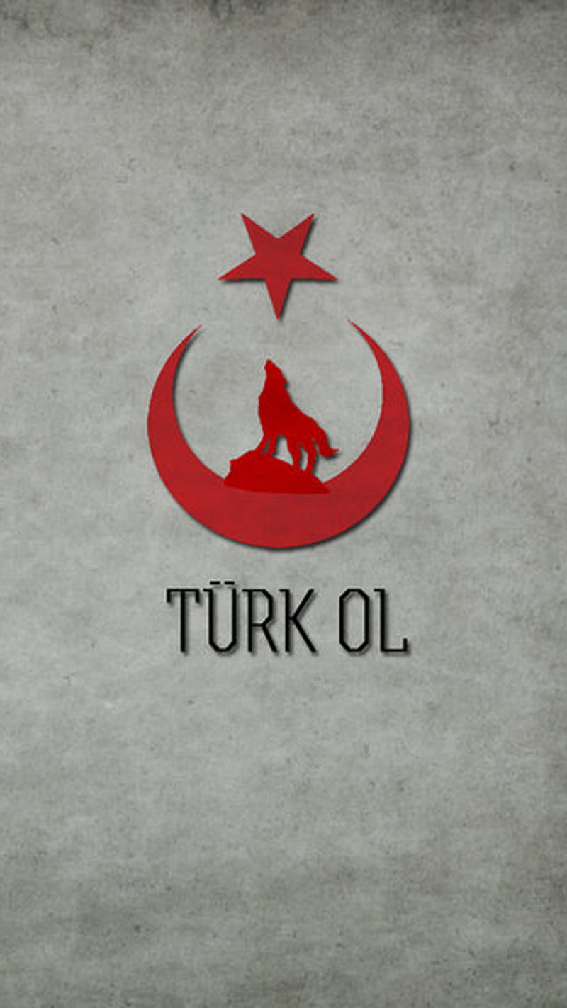Turan Turk Boz kurt, boz kurt, HD phone wallpaper