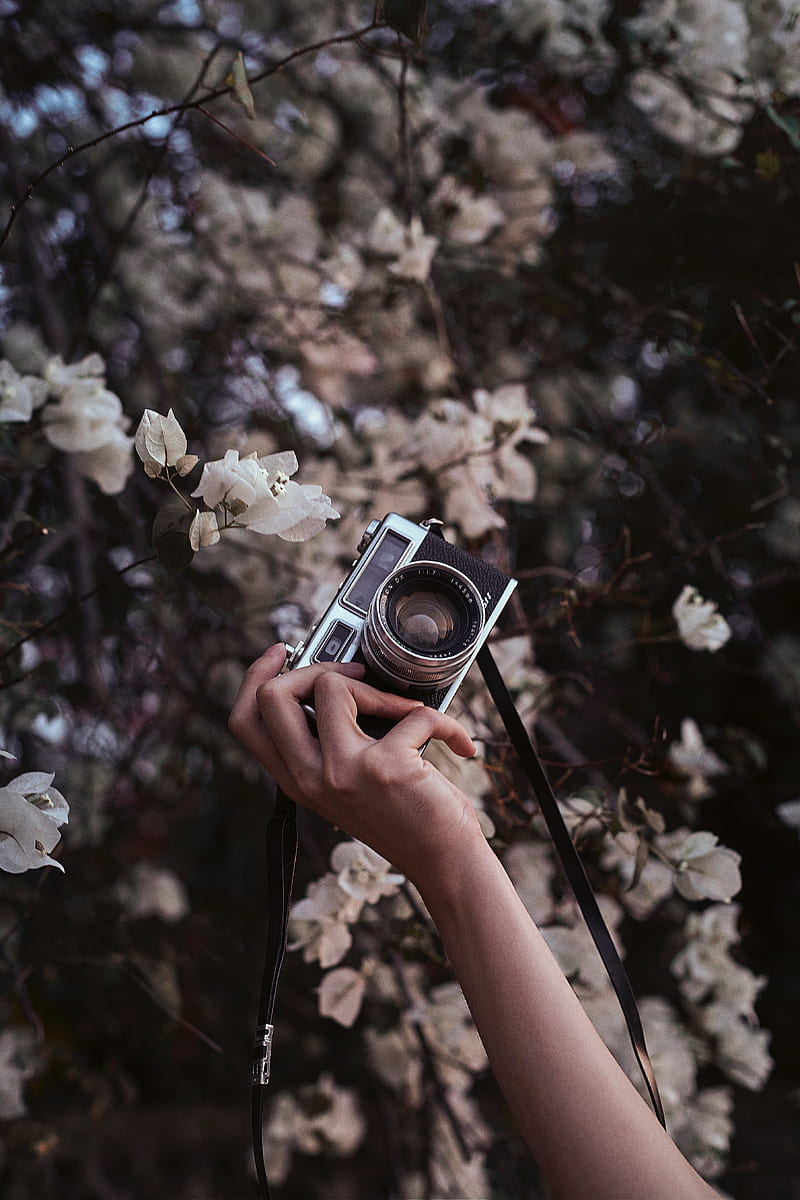 Camera, retro, hand, flowers, bloom, HD phone wallpaper | Peakpx