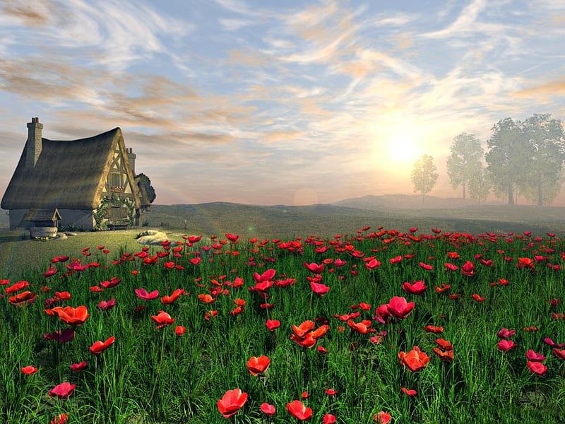 Cottage and Poppy Field, hills, rocks, sun, cottage, poppies, trees, poppy field, clouds, wishing well, field, HD wallpaper