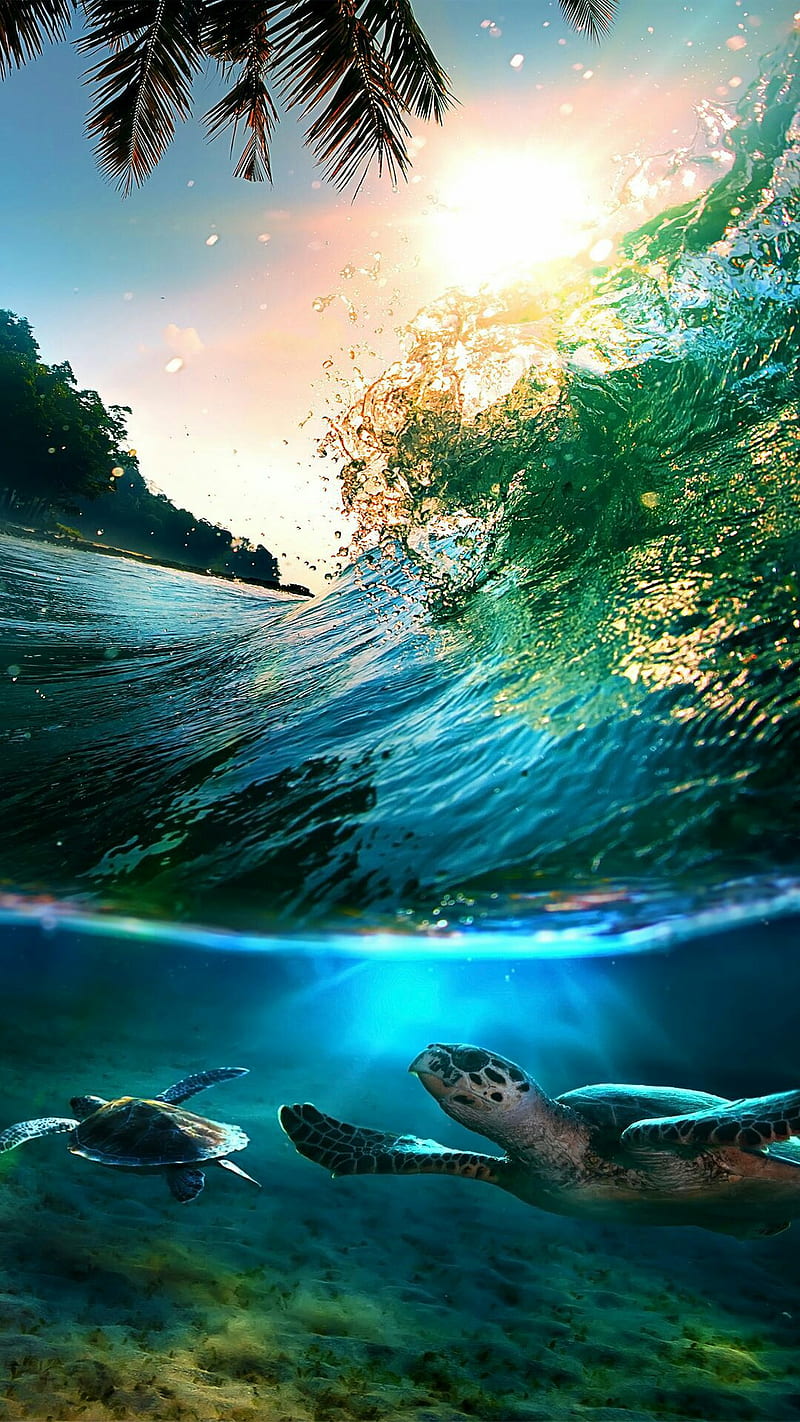 under ocean, animal, nature, sea, turtle, wave, HD phone wallpaper