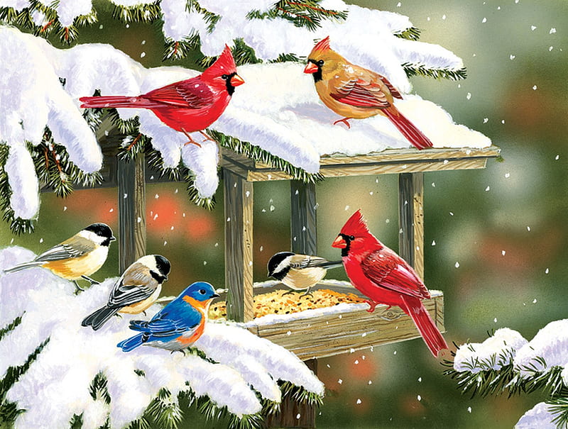 Winter birds, house, bird, pasari, pictura, winter, cardinal, iarna, red, art, painting, HD wallpaper