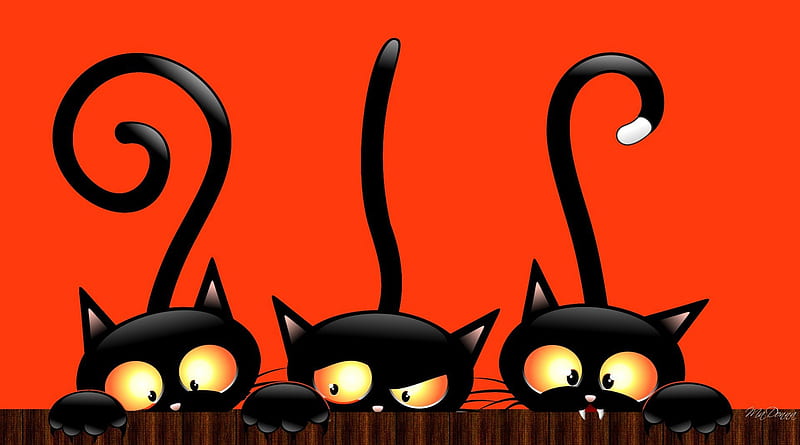 Black Cat Halloween, fence, All Hallows Eve, orange, black cats, peeking, cute, whimsical, bright, Halloween, HD wallpaper