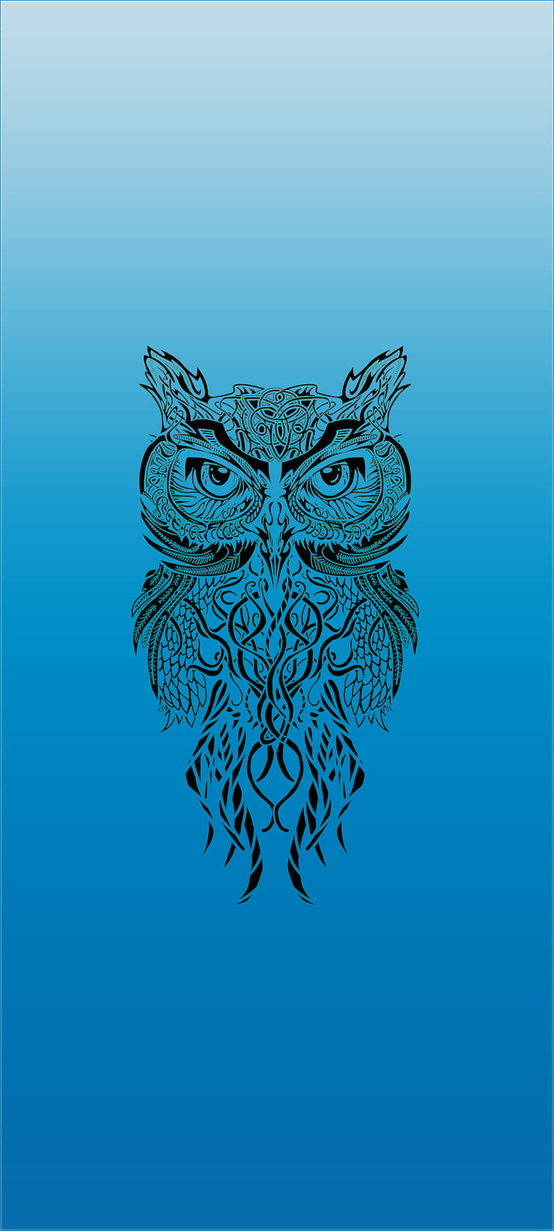 Celtic Owl, blue, sova, theme, HD phone wallpaper