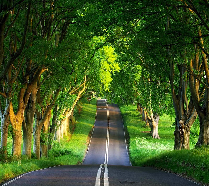 Green Road, good, look, HD wallpaper