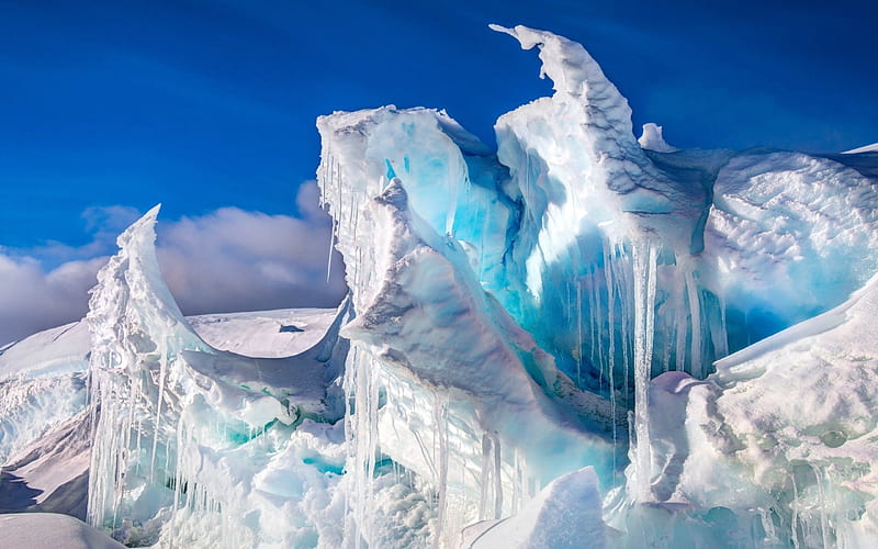 Nature's Sculpture in Ice, ice, nature, snow, winter, HD wallpaper | Peakpx