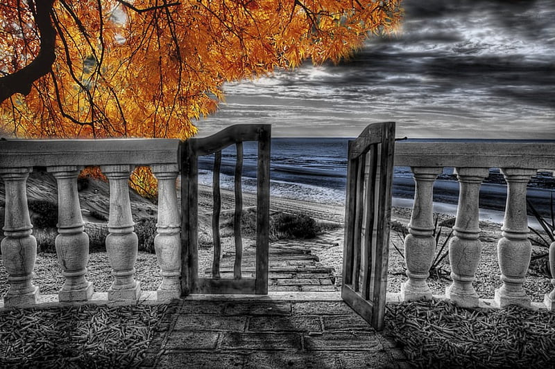 Autumnal view, fence, fall, autumn, horizon, view, orange, ocean, sky, clouds, door, sea, beach, tree, leaves, season, blue, HD wallpaper
