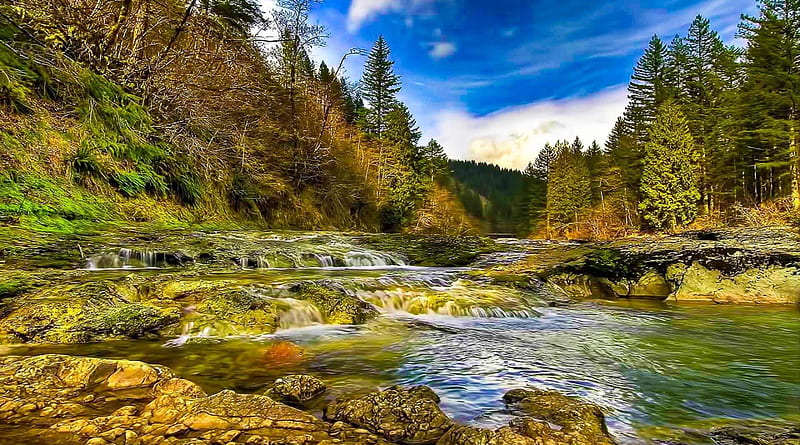 cascading forest strem r, forest, stream, rocks, r, cascade, HD wallpaper