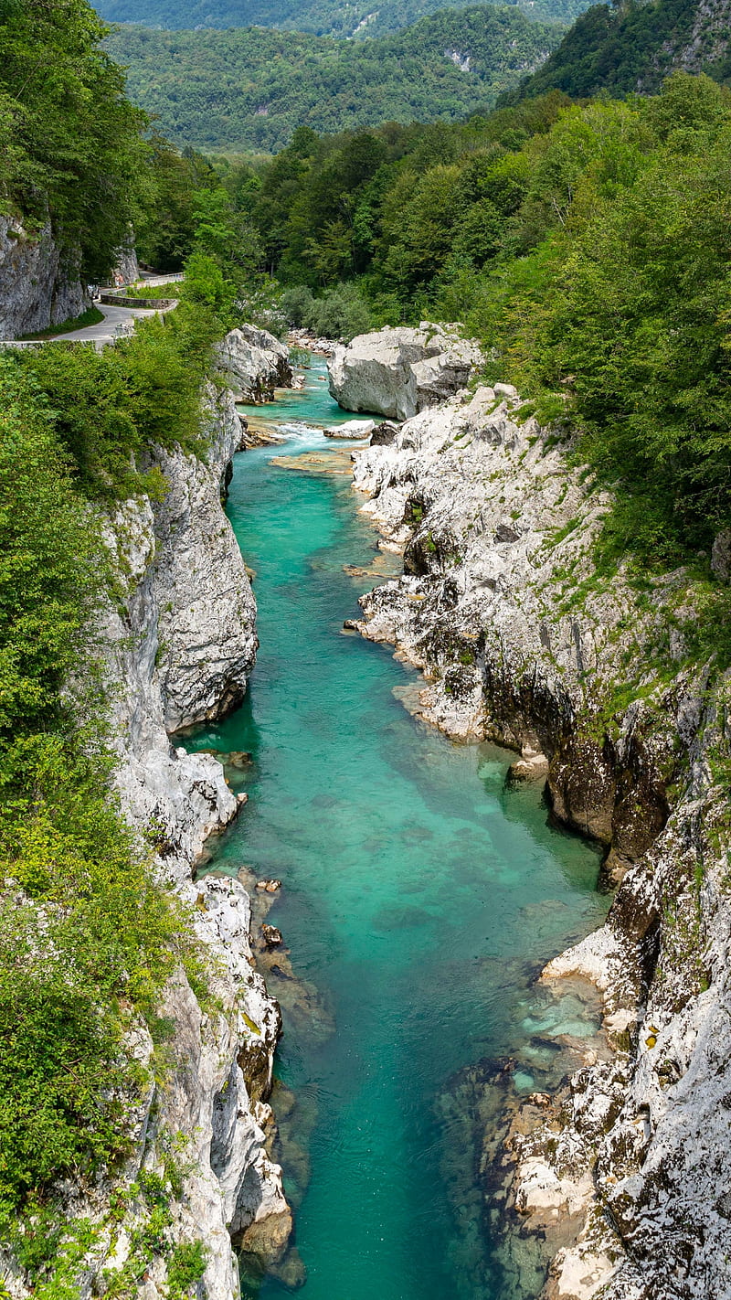 A river, blue, blue river, green, green river, nature, plants, rocks ...