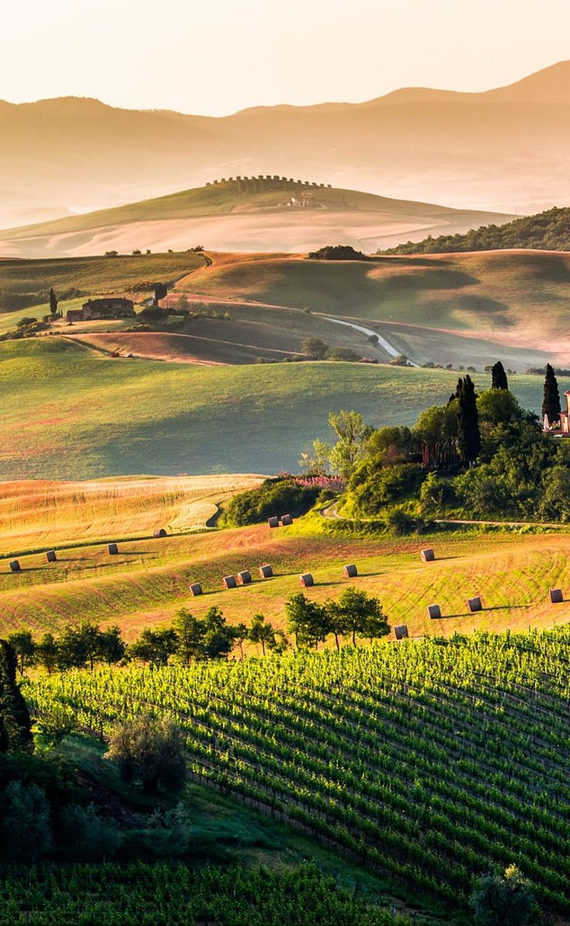 The rolling hills of Tuscany. Italy. Tuscany landscape, Landscape graphy, Beautiful landscapes, Tuscany Countryside, HD phone wallpaper