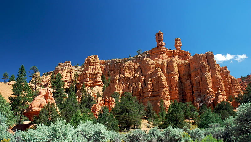 beautiful red canyon in utah, cliffs, trees, canyon, sandstone, HD wallpaper
