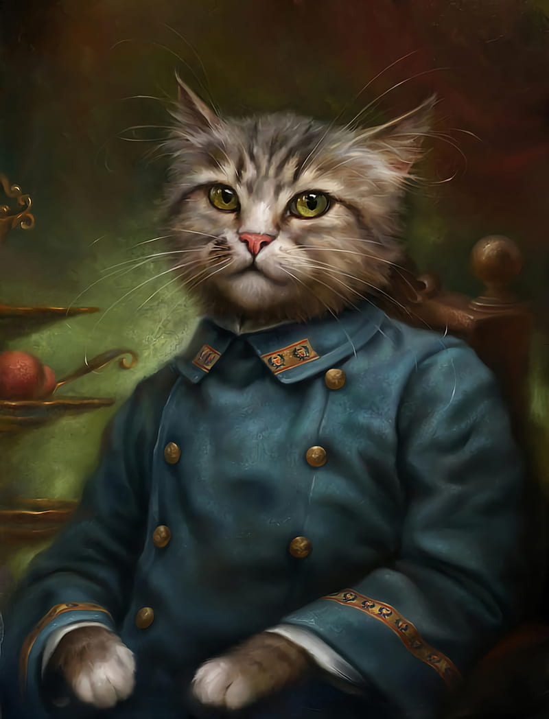 Cat general, army, art, cats, kitten, kittens, portrait, HD phone wallpaper