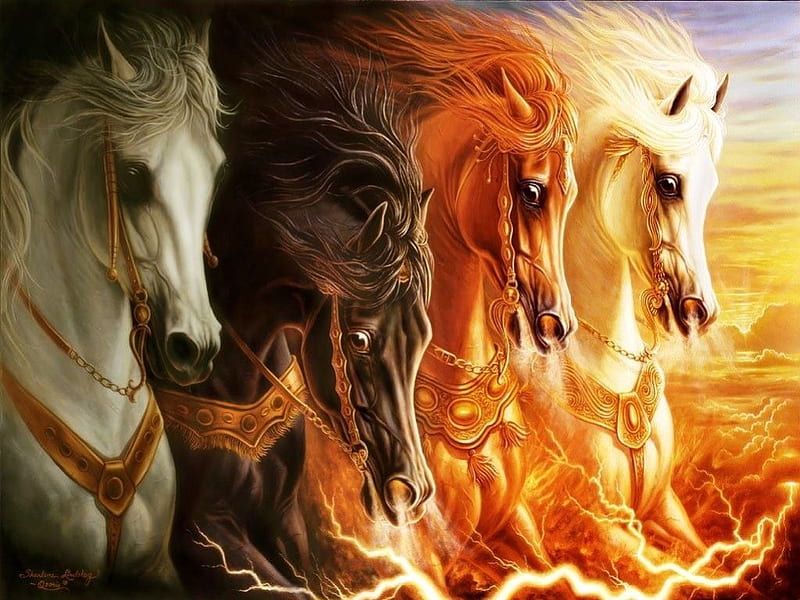 Four Horses, nose, brown, orange, legs, sky, tan, horses, daylight, mane, four, day, nature, land, white, eyes, animals, HD wallpaper