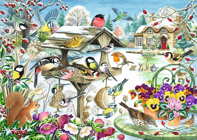 Winter Garden Birds, feeder, squirreal, bird, pansies, homes, winter, HD wallpaper