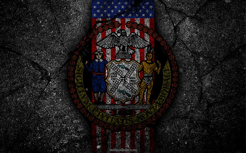 New York State coat of arms, grunge, New York symbolism, Coat of arms of New York, American flag, New York coat of arms, USA, HD wallpaper