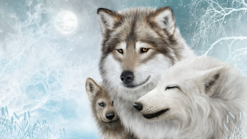 Wolf Painting, hunter, super, wolves, HD wallpaper