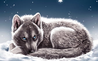 white wolf with blue eyes tumblr