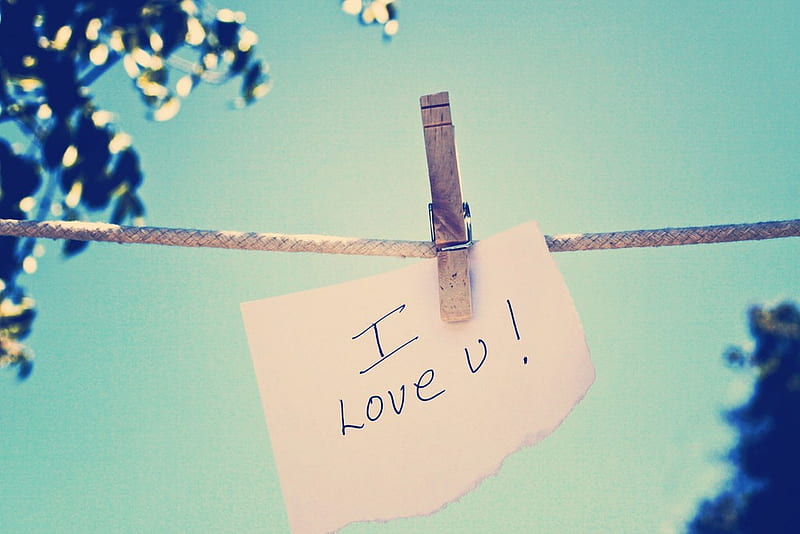 I Love You, words, clothesline, rope, sky, pin, tree, love, note, nature, clothespin, HD wallpaper