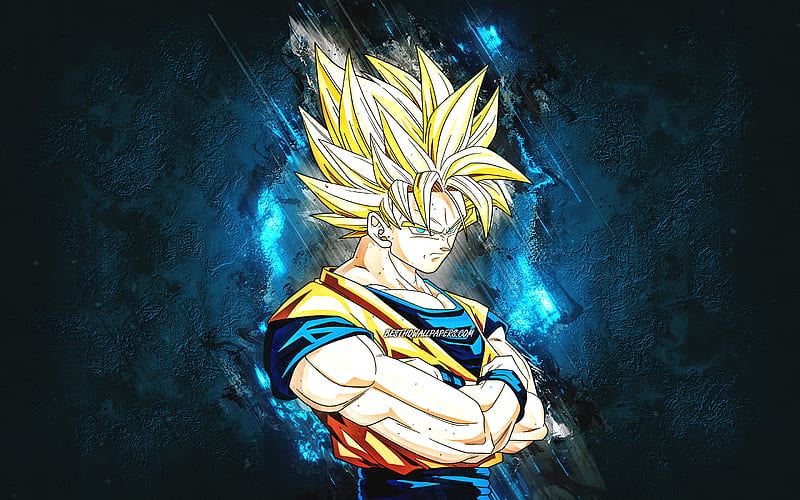 Goku ssj Blue 3 - Papel de parede Anime