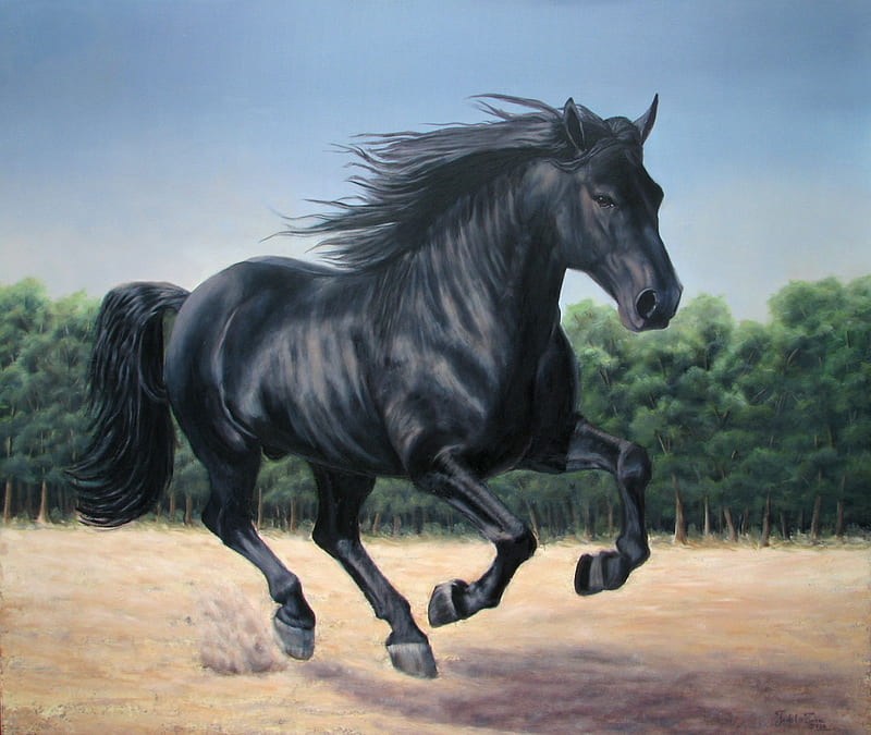 The Spanish Black Beauty, painting, black, andalusian, horses, spanish, HD wallpaper