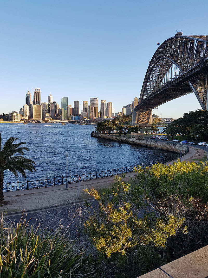 Sydney Views, australia, bridge, scenic, sydney, HD phone wallpaper