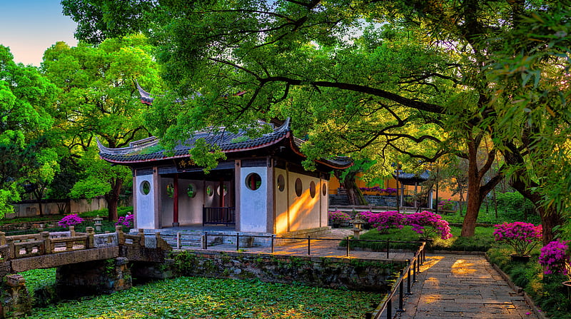 Chinese park, China, pagoda, plants, greenery, garden, bonito, spring, park, trees, HD wallpaper