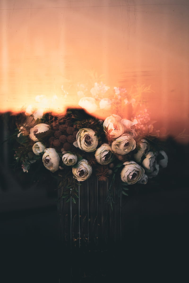 roses, flowers, bouquet, light, HD phone wallpaper