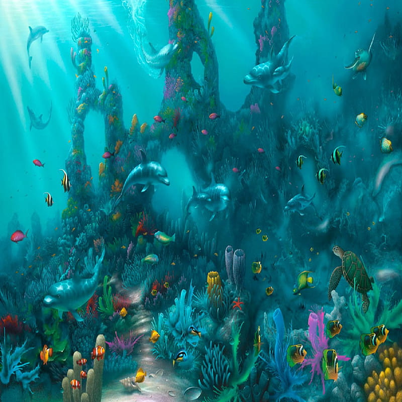 Aquarium, fish, dolphin, water, ocean, HD phone wallpaper | Peakpx