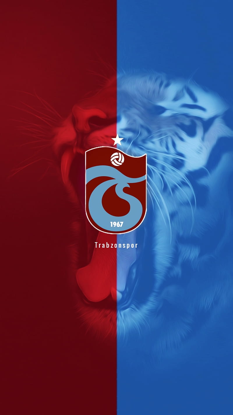 Trabzonspor, football, love, tiger, turk, turkish, world, HD phone wallpaper