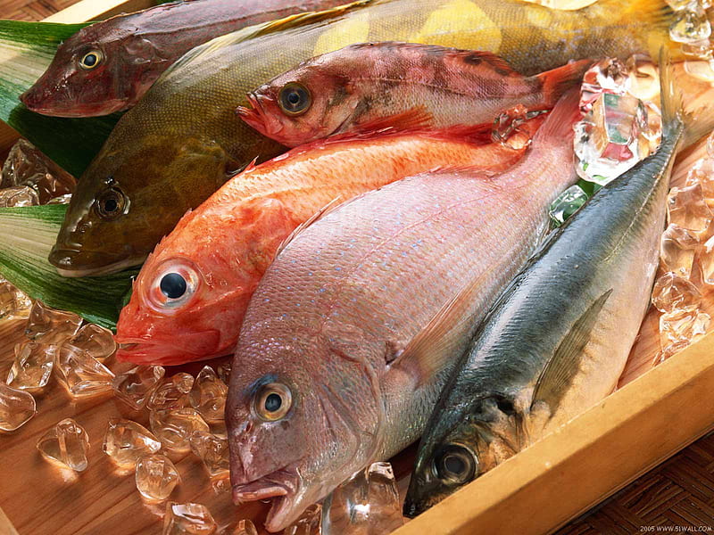 Culinary best quality Mixed fish, graphy, food, fish, mixed fish, comestible, culinary, HD wallpaper