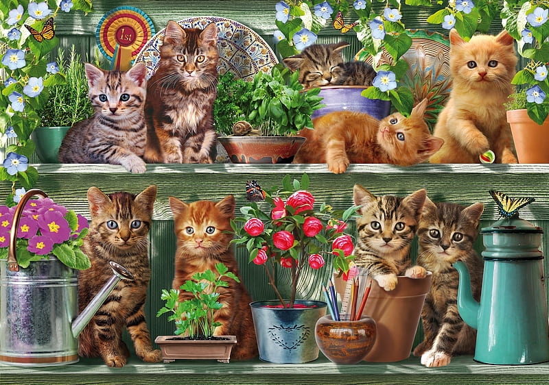 Kittens, art, rafturi, luminos, cat, cute, adrian chesterman, painting, flower, shelves, funny, kitten, pictura, pisica, HD wallpaper