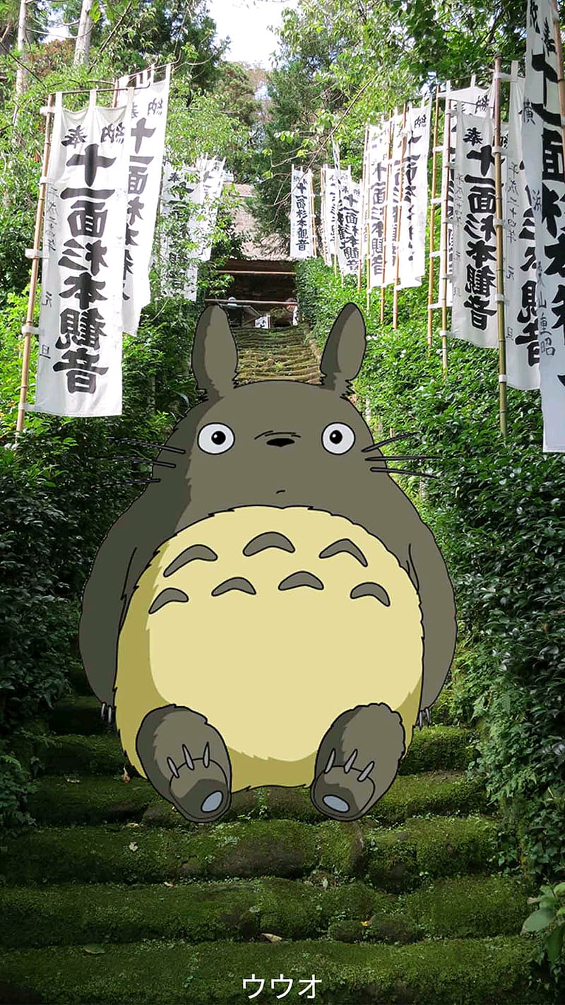 Totoro, real anime , studio ghibli, HD phone wallpaper