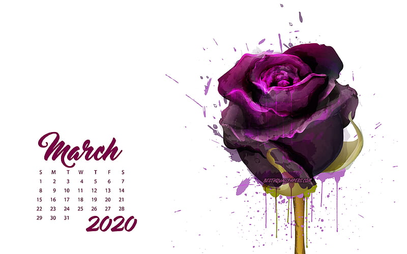 2020 March Calendar, maroon grunge rose, 2020 spring calendars, 2020 concepts, roses, March 2020 Calendar, HD wallpaper
