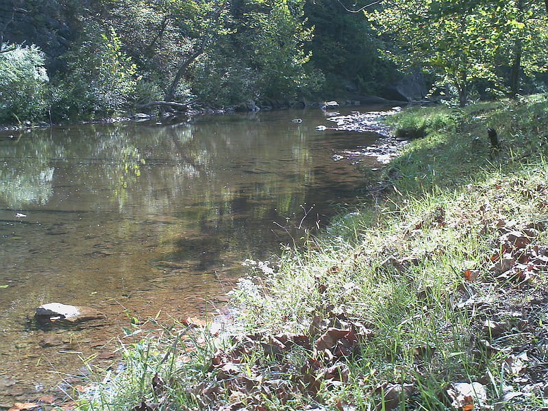 Cedar Creek, Shenandoah Co. Va., peaceful, water, quiet, creek, HD wallpaper