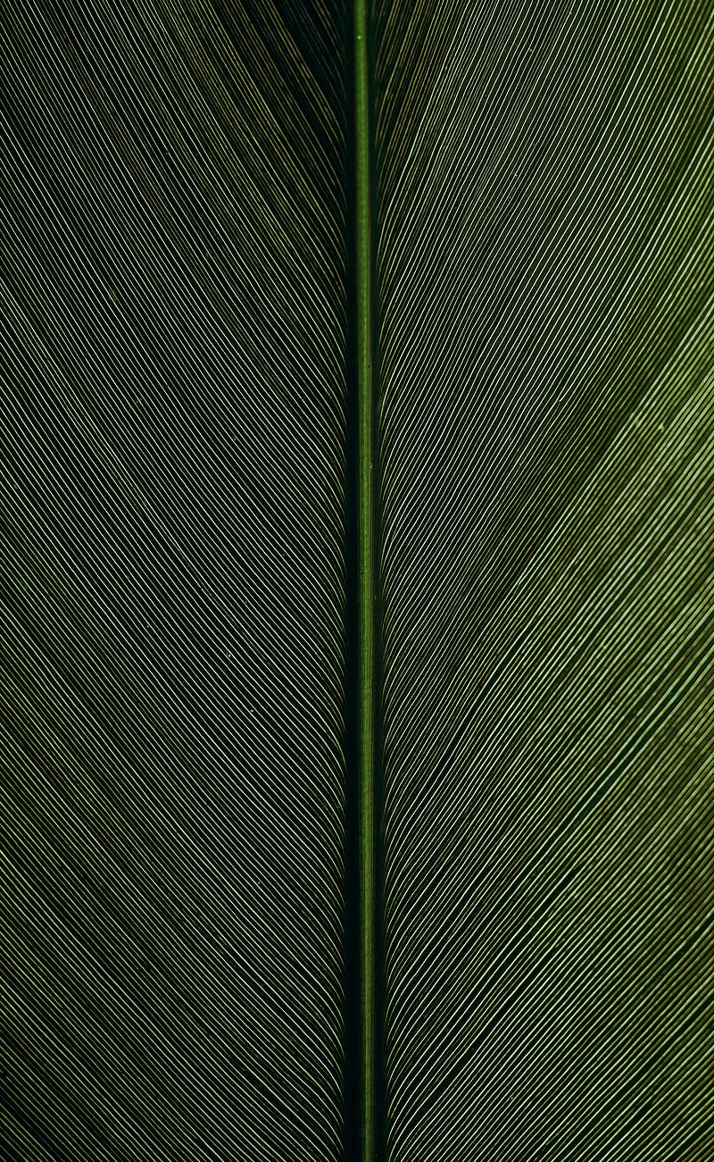 green metal rod on black and white pinstripe textile, HD phone wallpaper