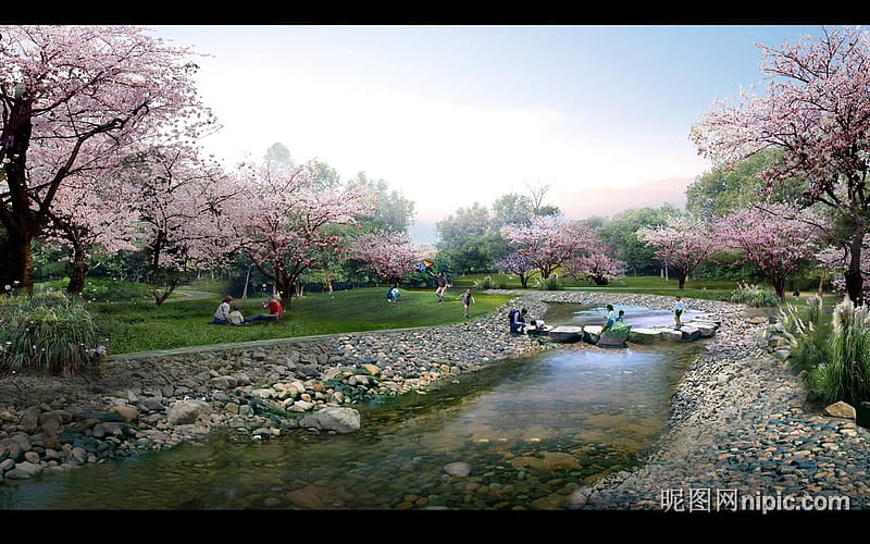 Family outing, playing, rocks, grass, trees, pond, stones, people, flowers, cherry bloosoms, HD wallpaper