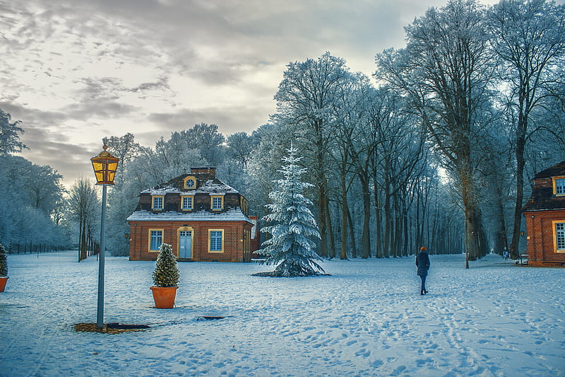 Gloomy Houses, lamp, house, post, trees, sky, winter, snow, nature, white, landscape, frost, HD wallpaper