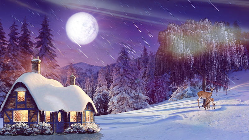 Winter House , blizzard, christmas, christmas nignt, deer, forest, home, snow, sunrise, HD wallpaper