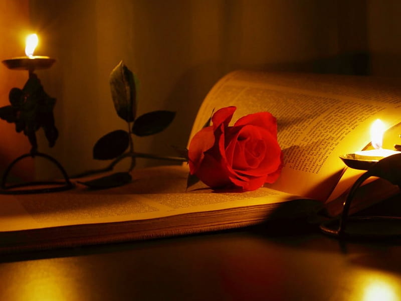 Romantic Night, red, candle, romantic, rose, book, night, HD wallpaper