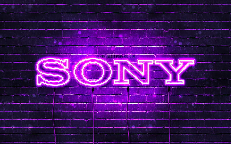Sony violet logo violet brickwall, Sony logo, brands, Sony neon logo, Sony, HD wallpaper